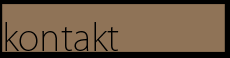 kontakt